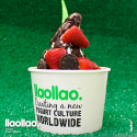 Disfruta de lo sano con las franquicias Llao Llao